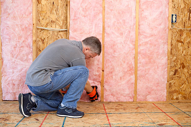 Best Insulation for Specific Applications in Buckhall, VA