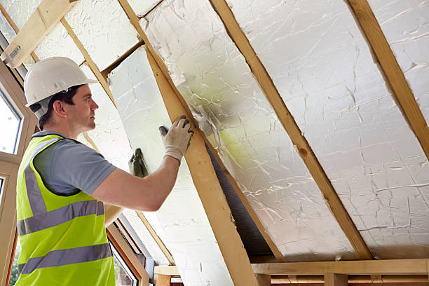 Best Insulation Installation Services in Buckhall, VA