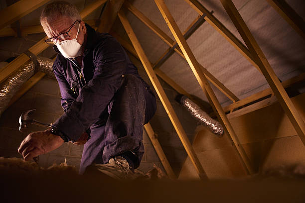 Best Insulation for Specific Applications in Buckhall, VA